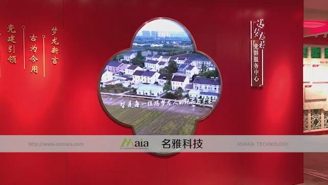冯梦龙村党建馆LED全彩屏--海棠造型